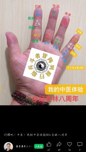 紅杏林學員成果展示