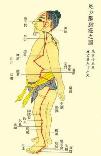 足少陽膽經(jīng)