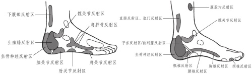 腳踝處的反射區(qū)